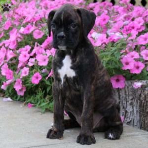 Meet your Posher, Timothy